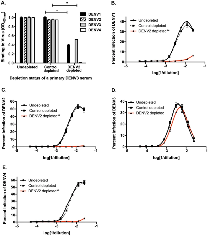 Removal of cross-reactive antibodies from primary DENV3-immune human sera abolishes enhancement of heterotypic DENV infection <i>in vitro</i>.