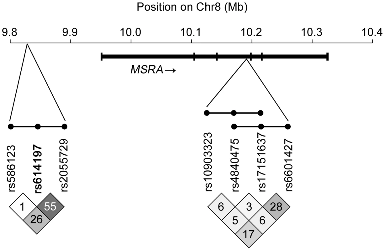 Haplotype association in <i>MSRA</i> region.