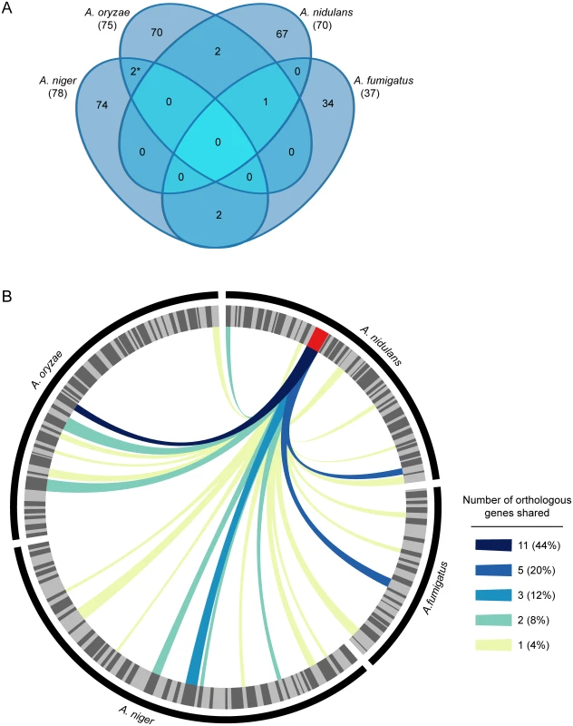 SM gene clusters in <i>Aspergillus</i> are not evolutionarily conserved.