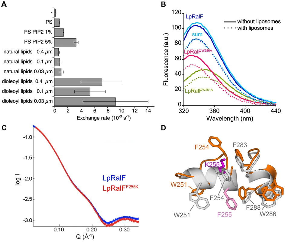 The aromatic cluster in the capping domain of LpRalF is a membrane sensor. A. Nucleotide exchanged rates analyzed in the presence of liposomes of different composition, curvature and packing as indicated.