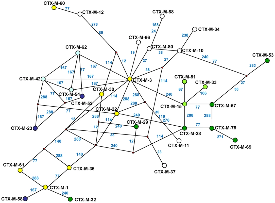 Median-joining network inferred for CTX-M-1 group amino acid sequences.