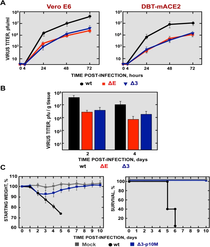 Viral growth of SARS-CoV-∆3 and virulence after serial passage in mice.