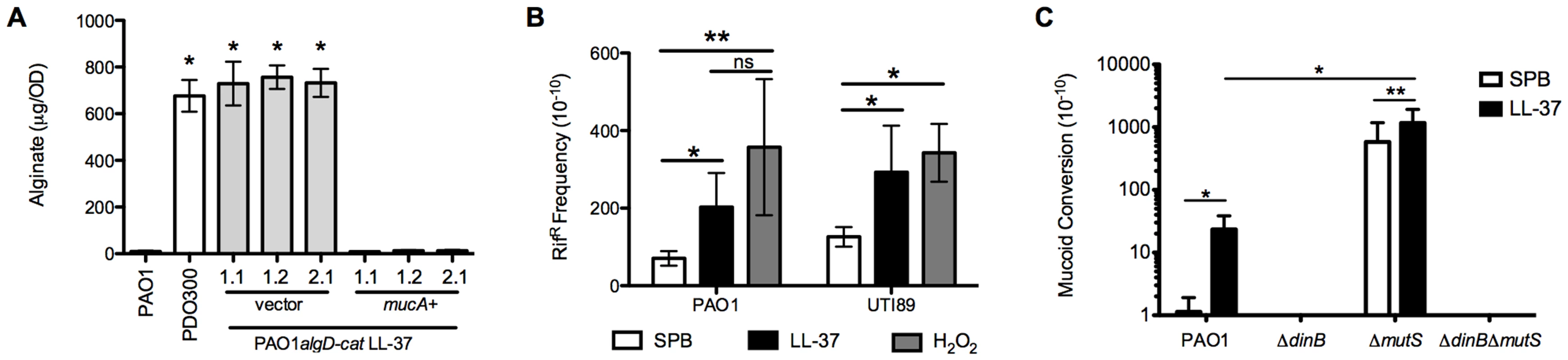 LL-37 induces bacterial mutagenesis in a DinB-dependent manner.