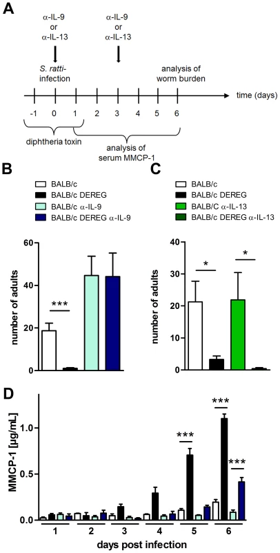 Role of IL-9 during <i>S. ratti</i> infection in Treg-depleted BALB/c mice.
