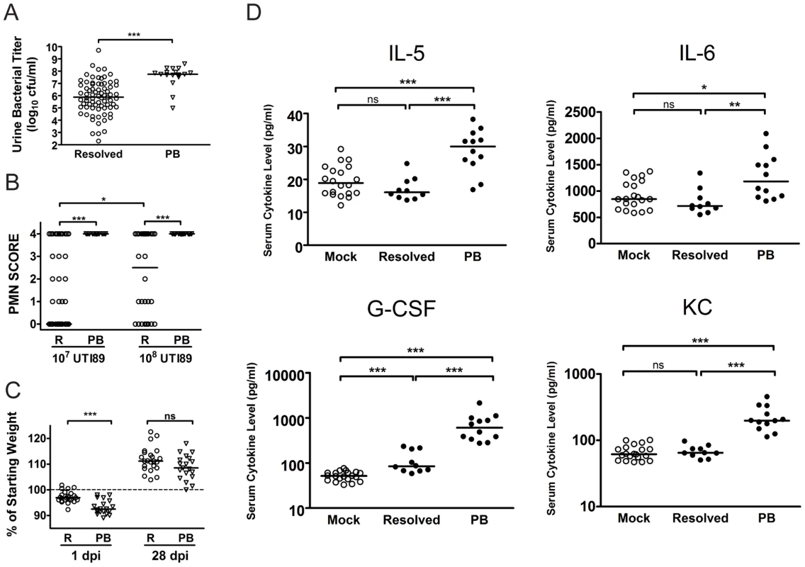 C3H/HeN mice that develop chronic cystitis can be distinguished from their cage mates by several parameters of infection and host response at 24 hpi.