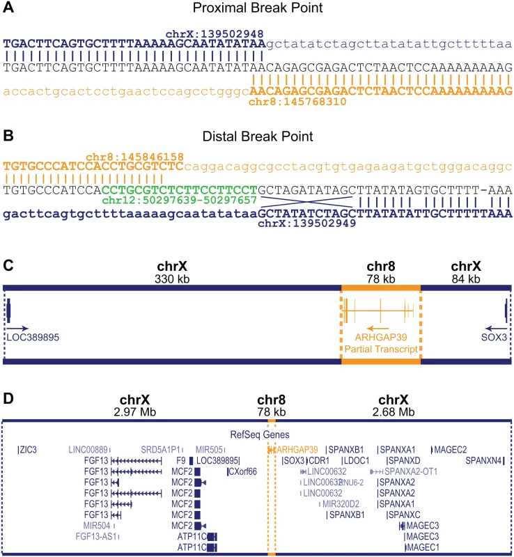 Characterization of the CMTX3 insertion.