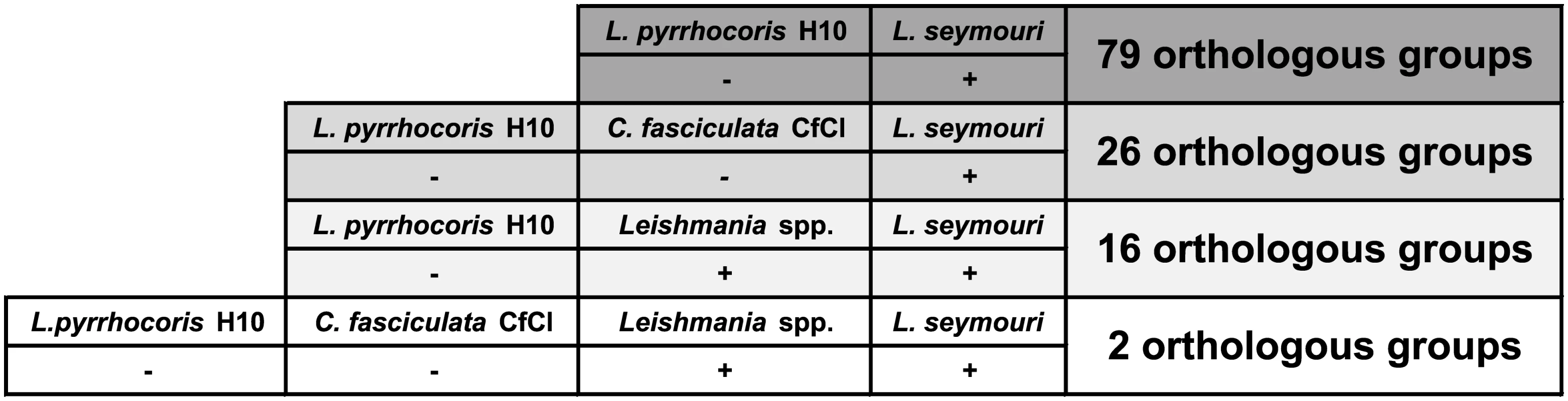 Orthologous group presence (denoted by &quot;+&quot;)/absence (denoted by &quot;-&quot;) patterns for <i>Leptomonas seymouri</i>, <i>Leptomonas pyrrhocoris</i>, <i>Crithidia fasciculata</i>, and several <i>Leishmania</i> species.