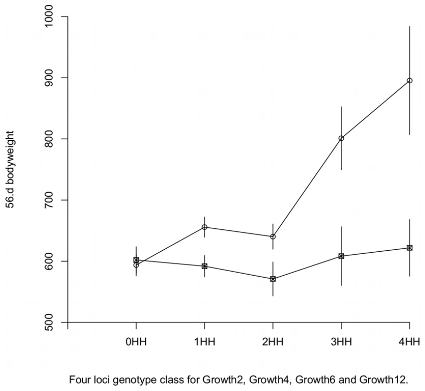 Genotype-phenotype maps in HWS and LWS genetic background at <i>Growth9.1</i>.