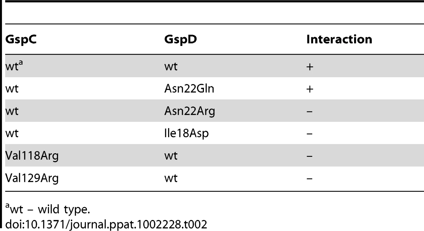 Characterization of GspC–GspD interaction in the bacterial two-hybrid system.