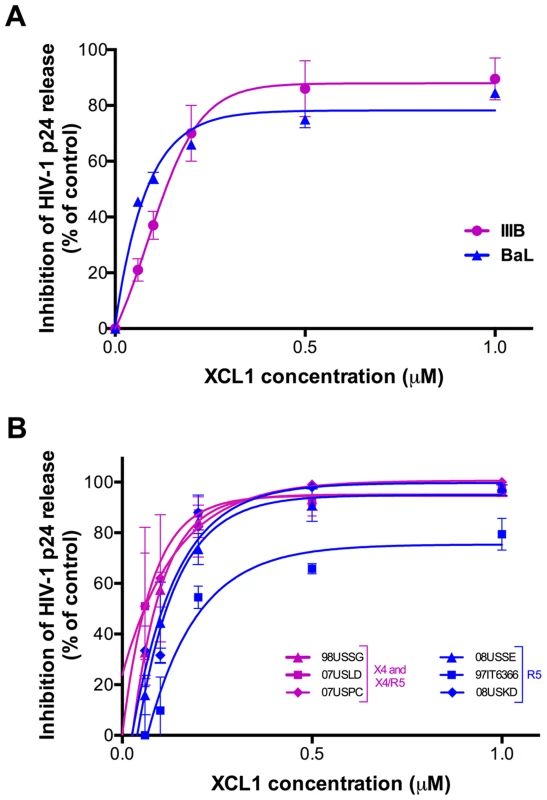 XCL1 inhibits HIV-1 infection irrespective of coreceptor usage.