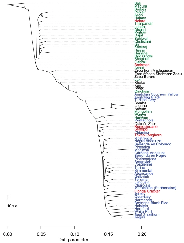 Phylogram of the inferred relationships between 74 cattle breeds.