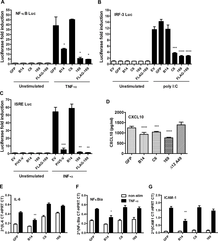 Protein 169 inhibits protein expression after activation of several innate immune signaling pathways.