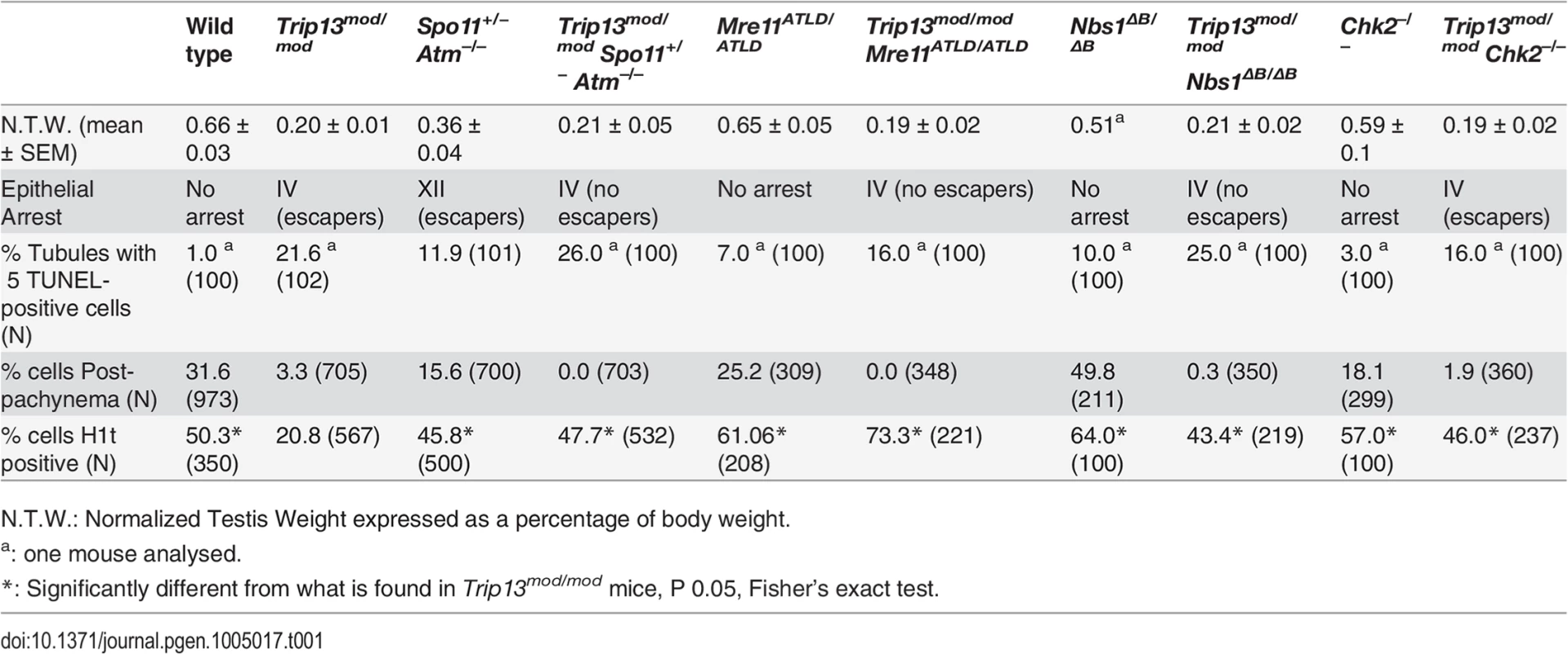 Testicular and meiotic phenotypes of wild-type and mutant mice.