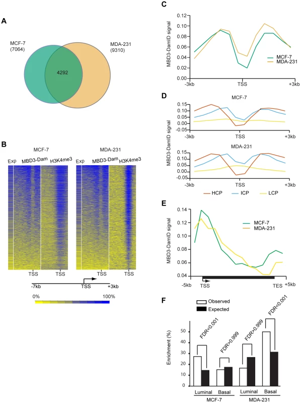 MBD3 localizes to active CpG rich promoters independent of cell type.