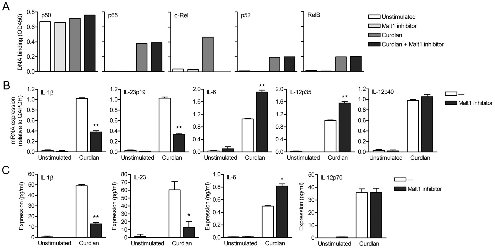 Malt1 paracaspase activity is required for c-Rel activation and cytokine induction by dectin-1.