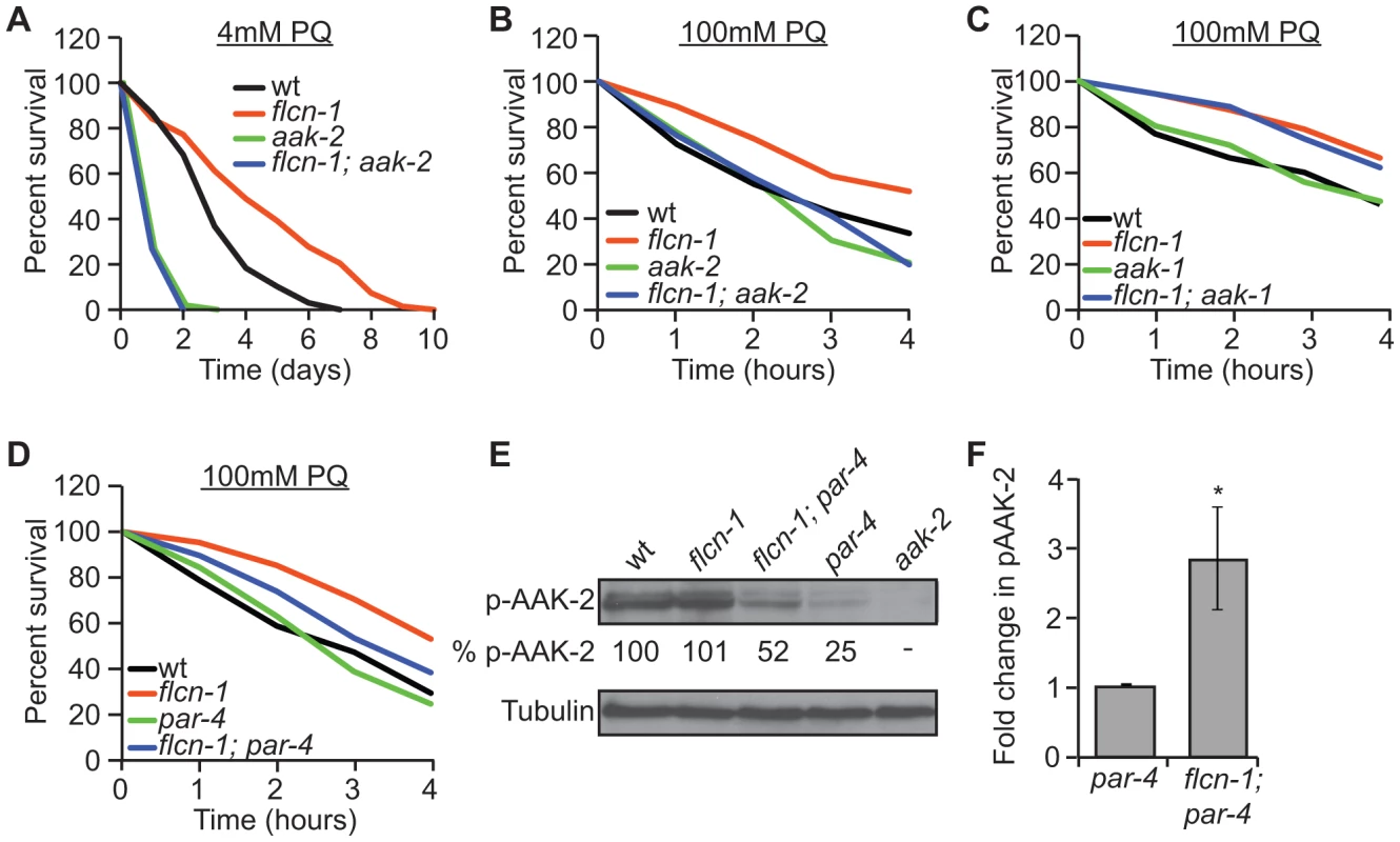 Loss of <i>flcn-1</i> confers an <i>aak-2</i>-dependent resistance to oxidative stress.