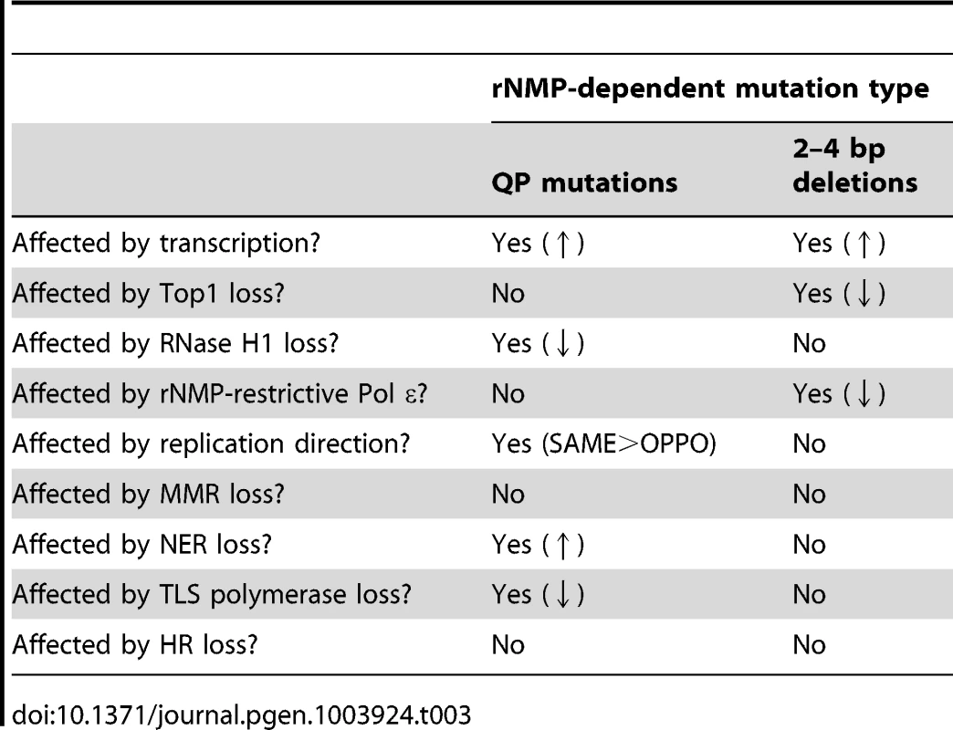 Summary of genetic requirements for rNMP-dependent mutations.