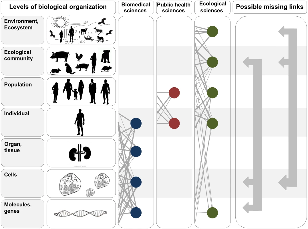 In the two leftmost panels, we depict the hierarchy of biological organization, from molecules and genes to ecosystems.