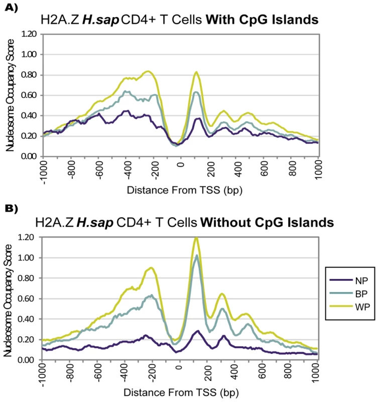 The Presence of a CpG Island Alone Does Not Imply Distinct Chromatin Architecture.