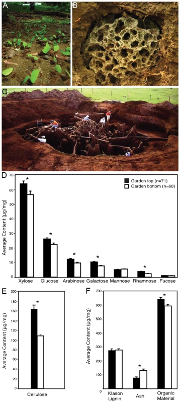 Organic polymer characterization of leaf-cutter ant fungus gardens.