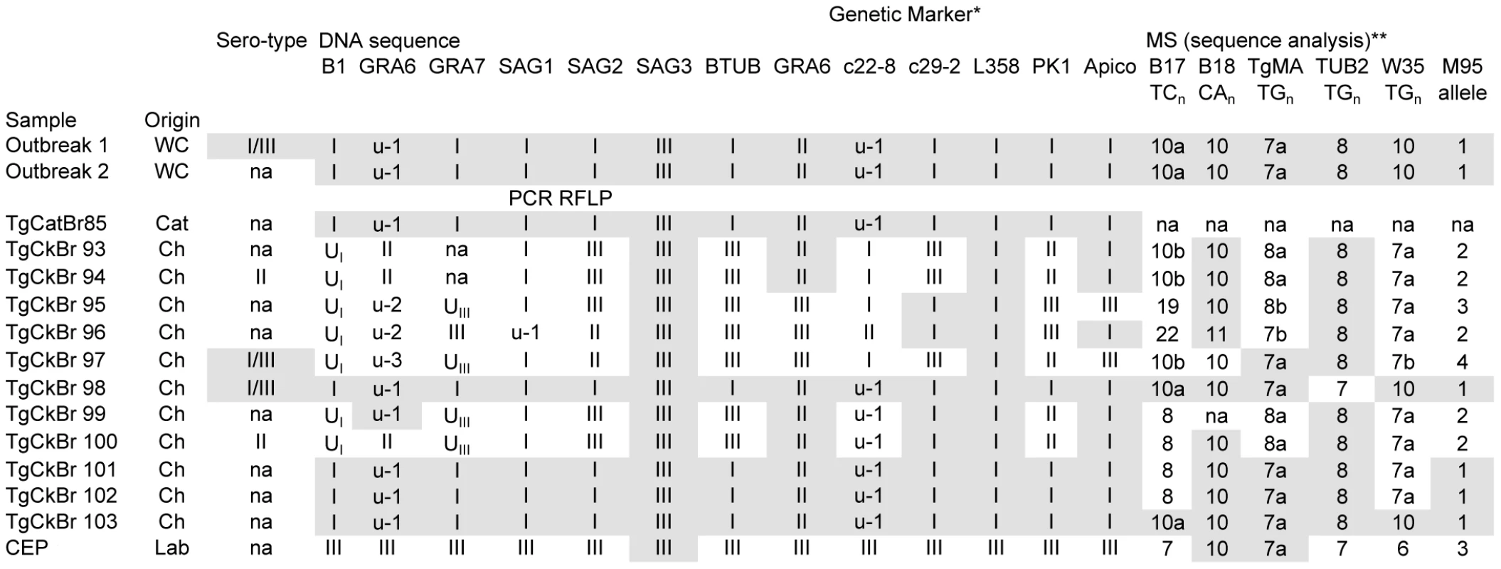 Genotype analysis of <i>Toxoplasma gondii</i> strains associated with an outbreak in Santa Isabel do Ivai, Brazil.