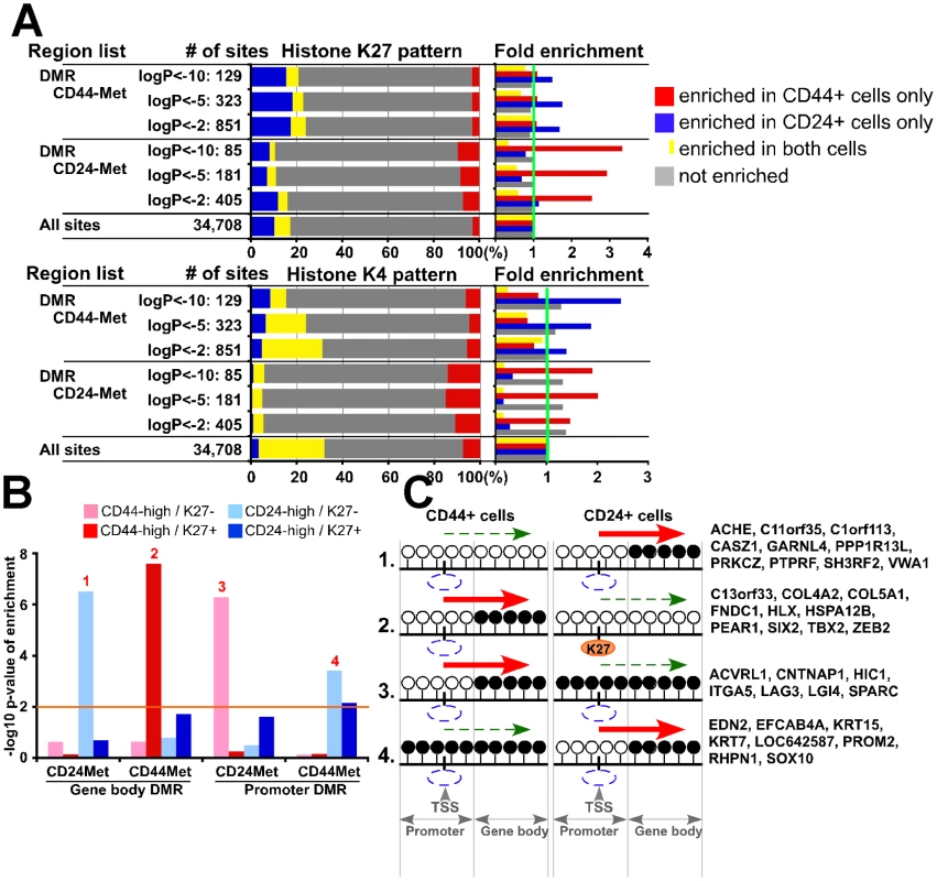 Integrated view of genome-wide gene expression and DNA and histone methylation patterns.