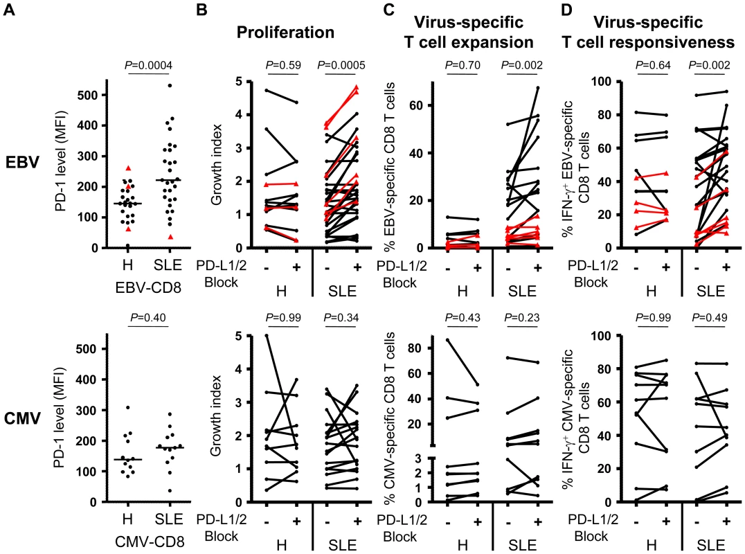 Blockade of PD-1 signalling revigorates EBV-specific T cell responses.