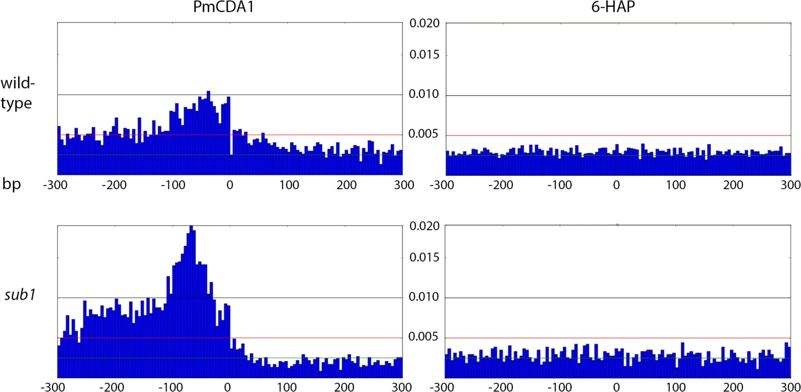 Peak of mutational density before the CDS start in genomes of PmCDA1-induced mutants.