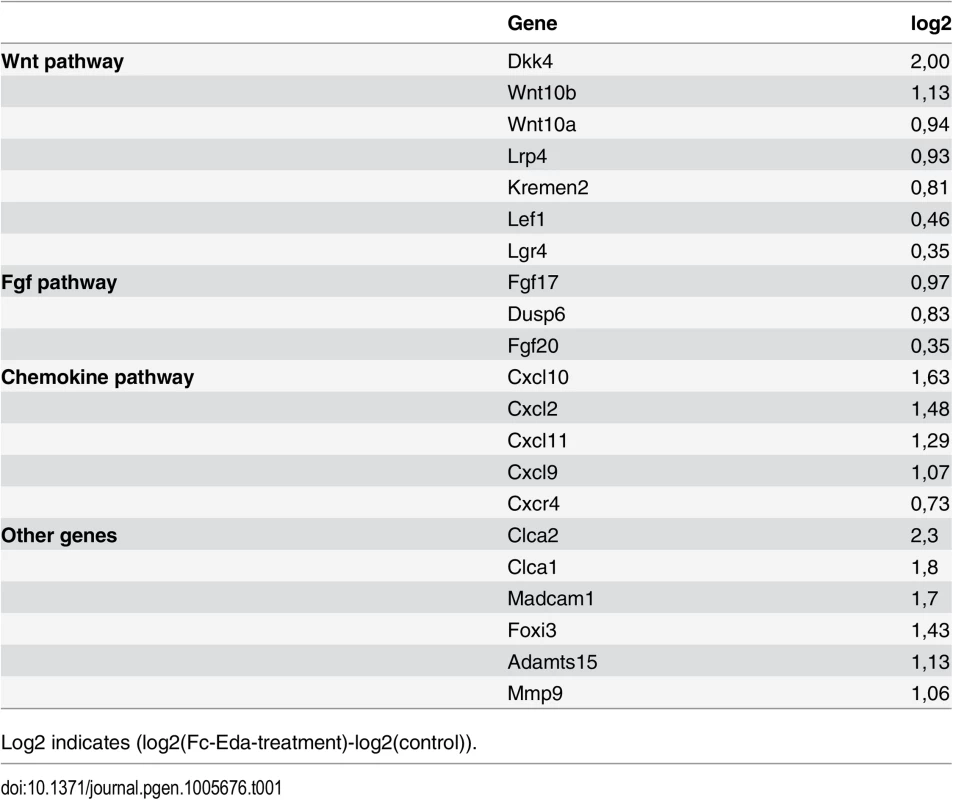 List of selected upregulated genes from the microarray.