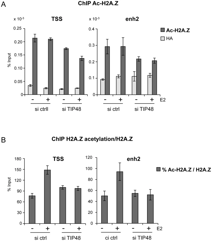 TIP48 promotes acetylation of H2A.Z.