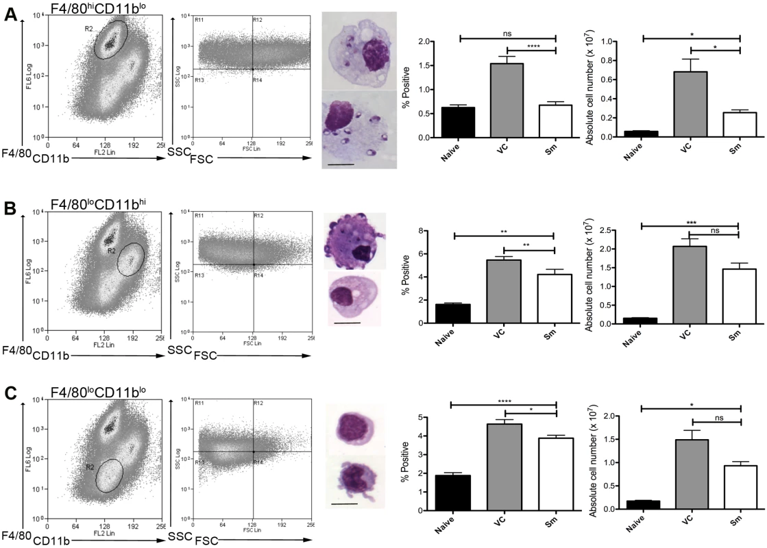 Sensitivity of mononuclear phagocytes in <i>L.donovani</i> infected mice to RTKi treatment.