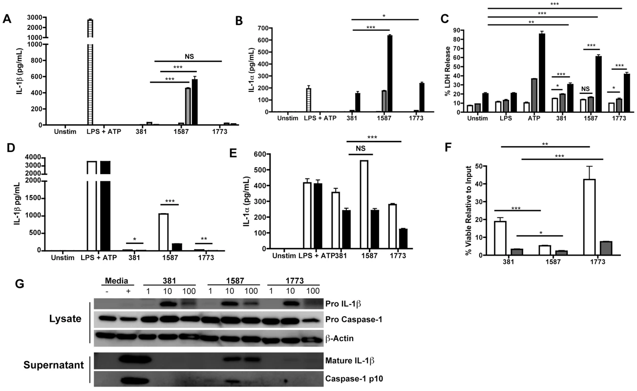 <i>P. gingivalis</i> evades activation of the inflammasome through expression of modified lipid A species.