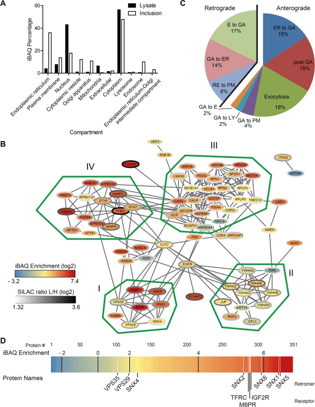 Global analysis of the host cell derived inclusion proteome.