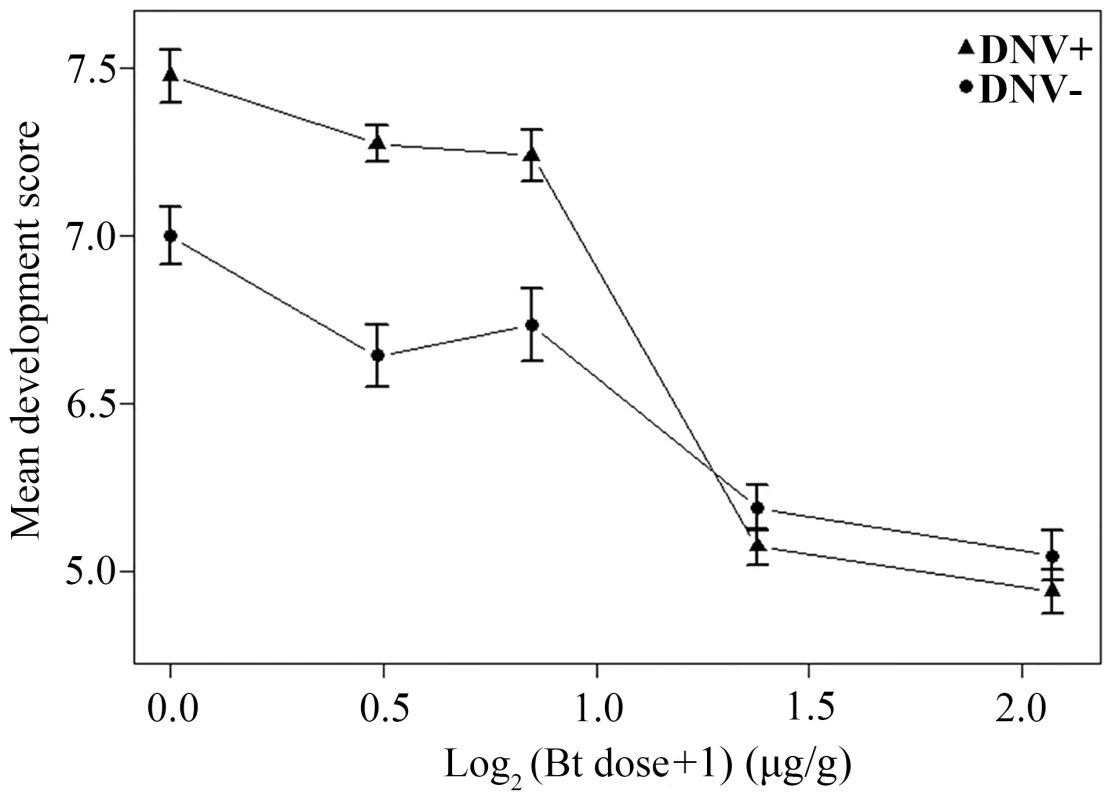 Relationship between dose of Bt toxin (log<sub>2</sub>-transformed) and mean development score for DNV+ and DNV- cotton bollworm larvae (averaged over days 4 to 9 post-challenge).