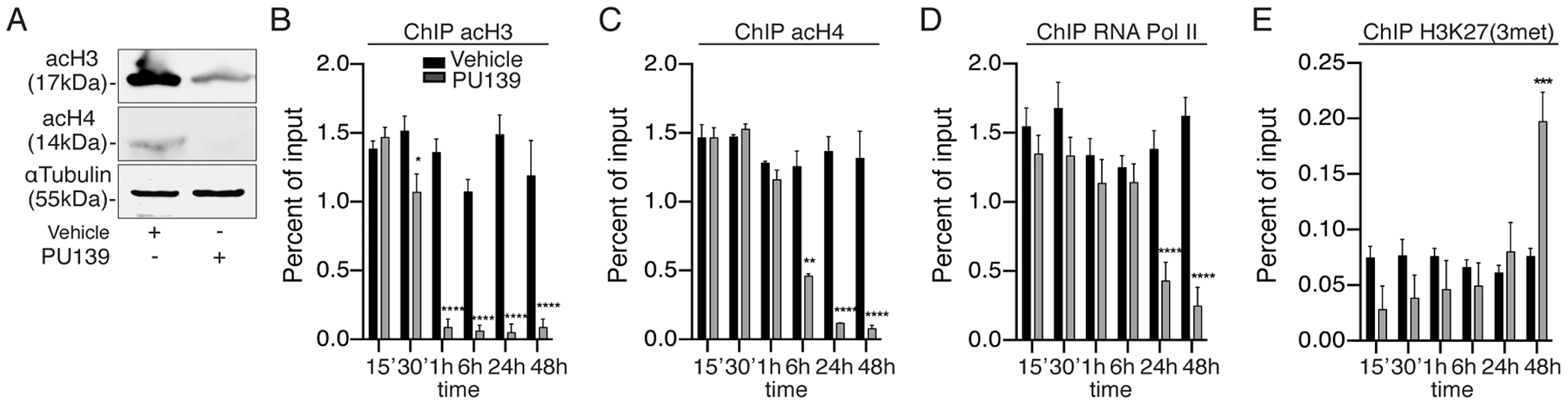 PU139 can reverse histone acetylation, keeping the <i>Smp14</i> promoter in a repressed state.