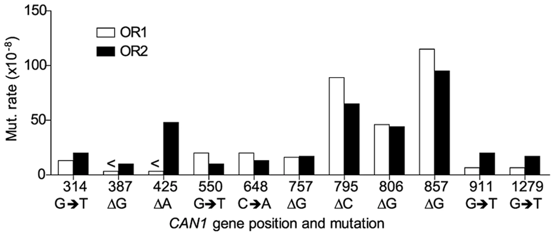 Comparison of <i>CAN1</i> mutation rates at hotspots (predominant mutation at site) in <i>rnr1-Y285A</i> strains with natural (OR1) and reversed (OR2) orientation of the <i>CAN1</i> gene.