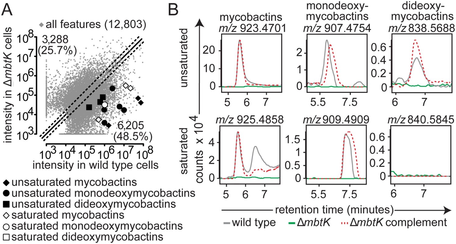 <i>mbtK</i> is required for mycobactin biosynthesis.