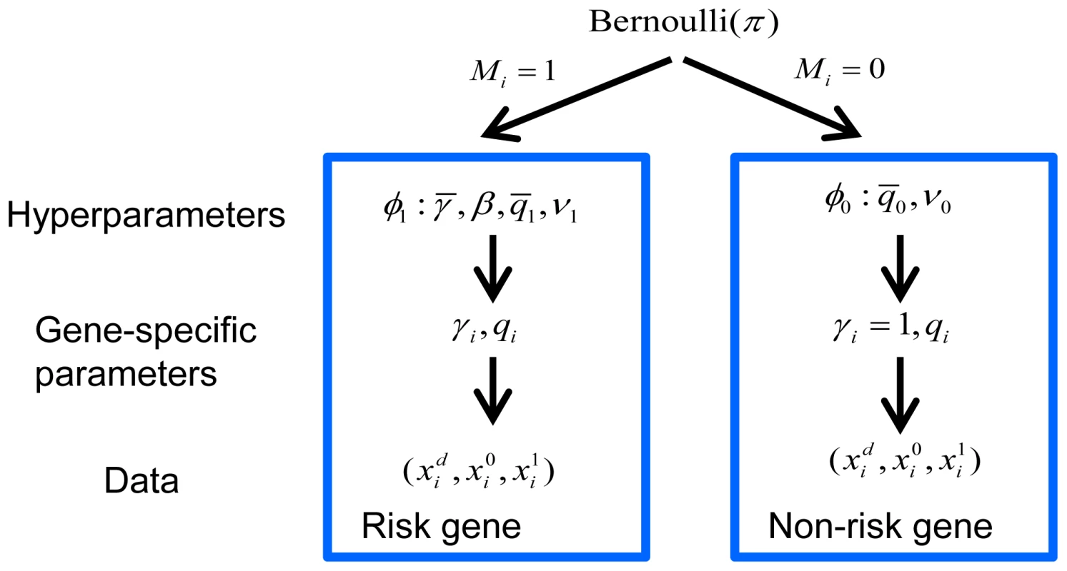Bayesian hierarchical model of TADA.