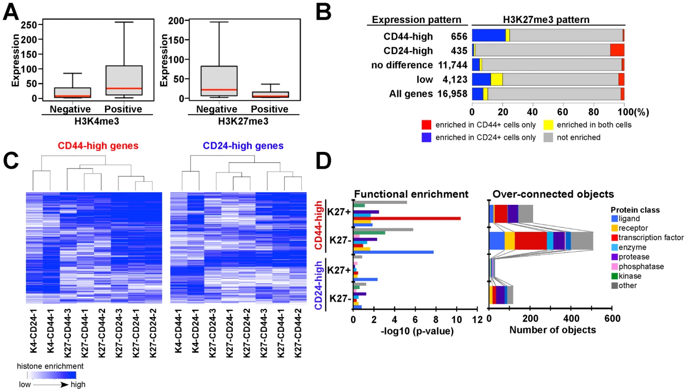 Associations between chromatin and cell type–specific expression patterns.