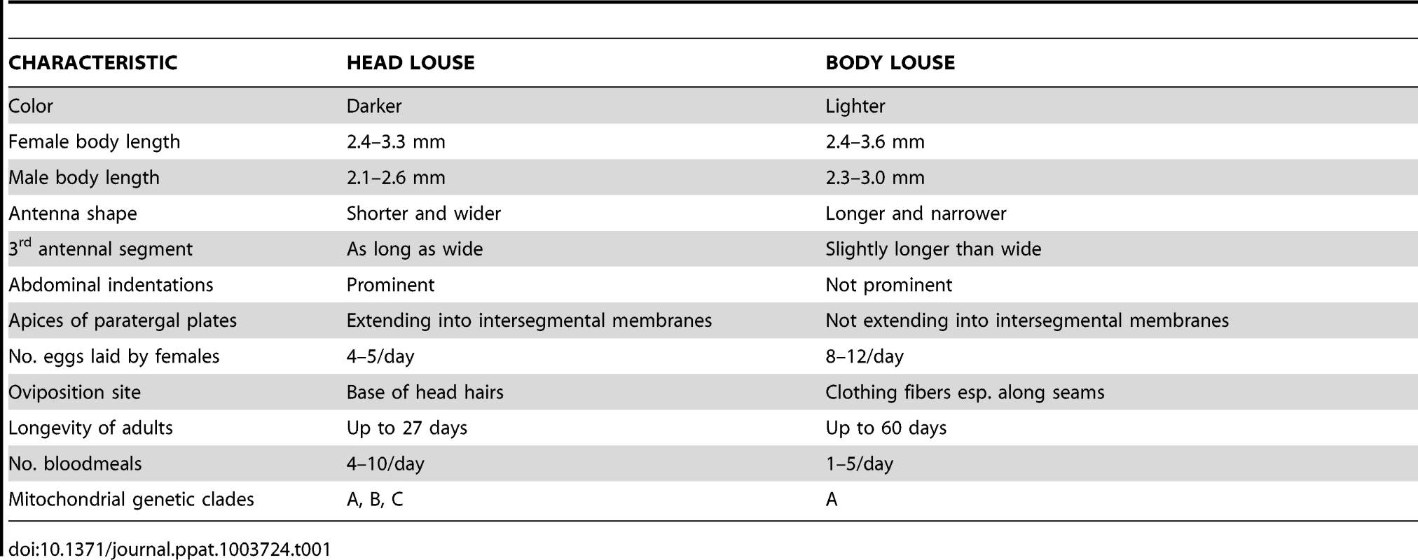Selected morphological and biological differences between human head and body lice.