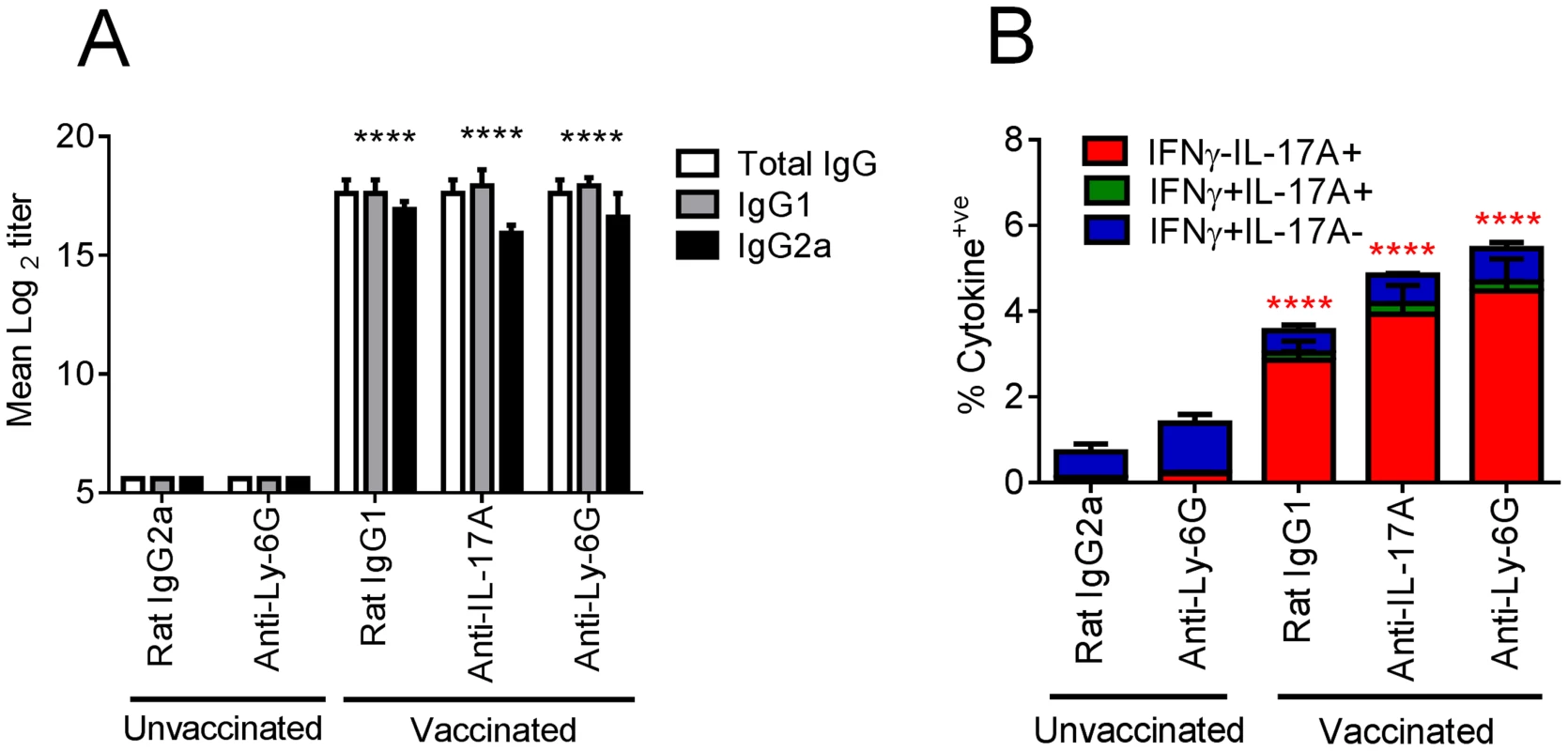 Adaptive immunity is unaffected by IL-17A blockade or neutrophil depletion following viral challenge.