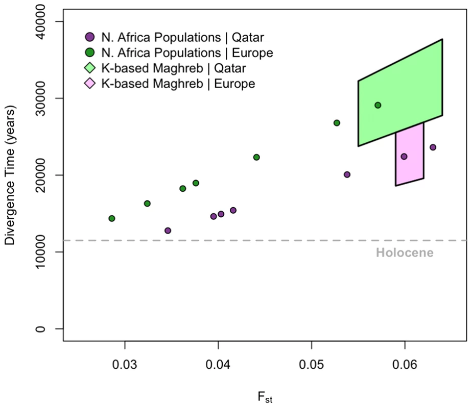 Divergence time estimates among European, Maghrebi, and Near Eastern ancestral populations.