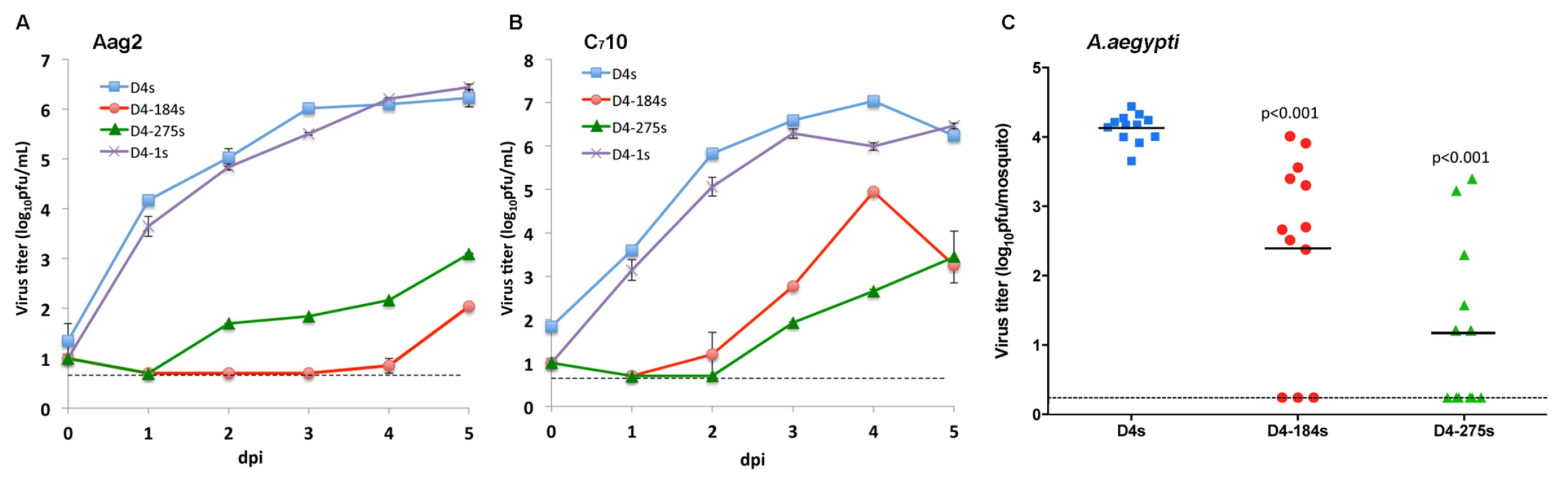 Effect of a single copy of miRNA target in the 3’NCR on DEN4 replication in mosquito cells and live mosquitoes.