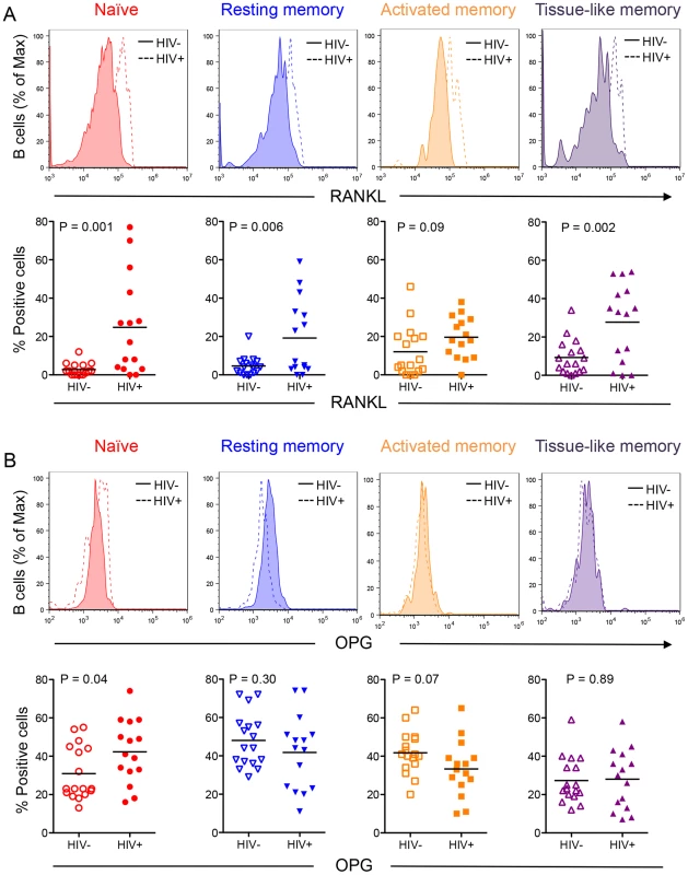 Differential B cell subset RANKL and OPG expression in HIV-negative and HIV-positive individuals.