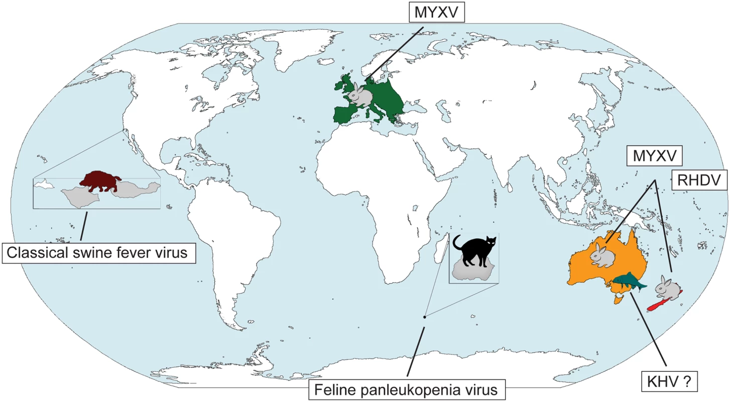 Past and future viral biocontrols of vertebrate pest species.