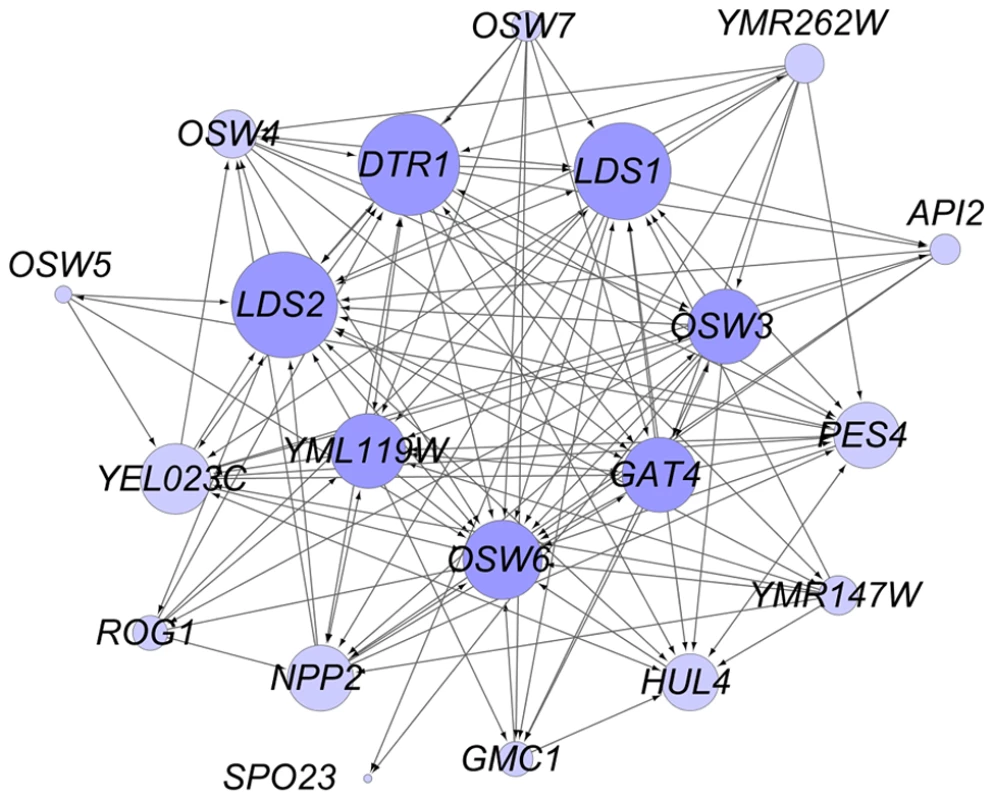 Genetic interactions between genes involved in dityrosine layer formation.