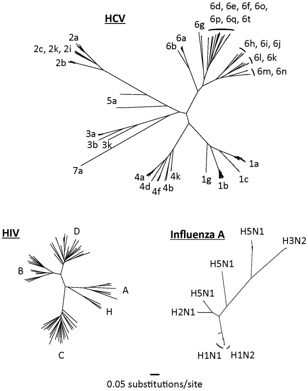 Complete genome trees of the hepatitis C virus, HIV-1 (M-group), and the hemagglutinin region of influenza A.