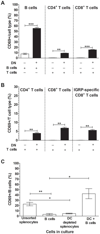 CD11c<sup>+</sup> DCs were essential for lymphocyte activation by RRV.