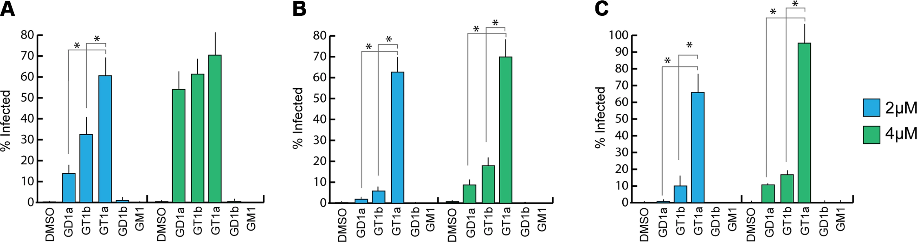GT1a, GT1b, and GD1a supplementation rescues MuPyV infection of Gang-/- MEFs.