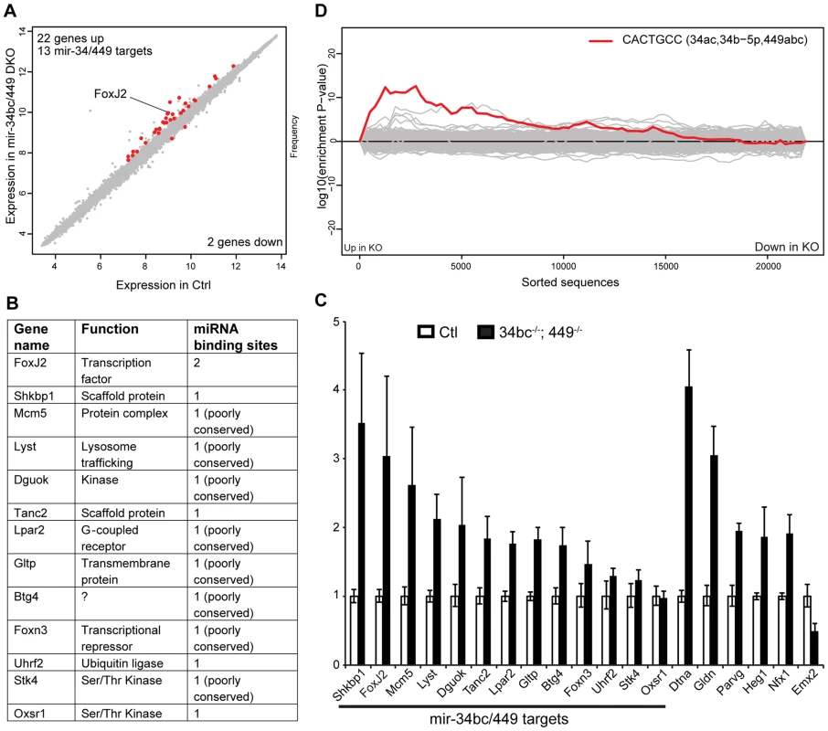 miR-34bc/449 regulates a small cohort of genes in spermatocytes.